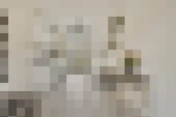 Sonate 16 Oss thumbnail 9