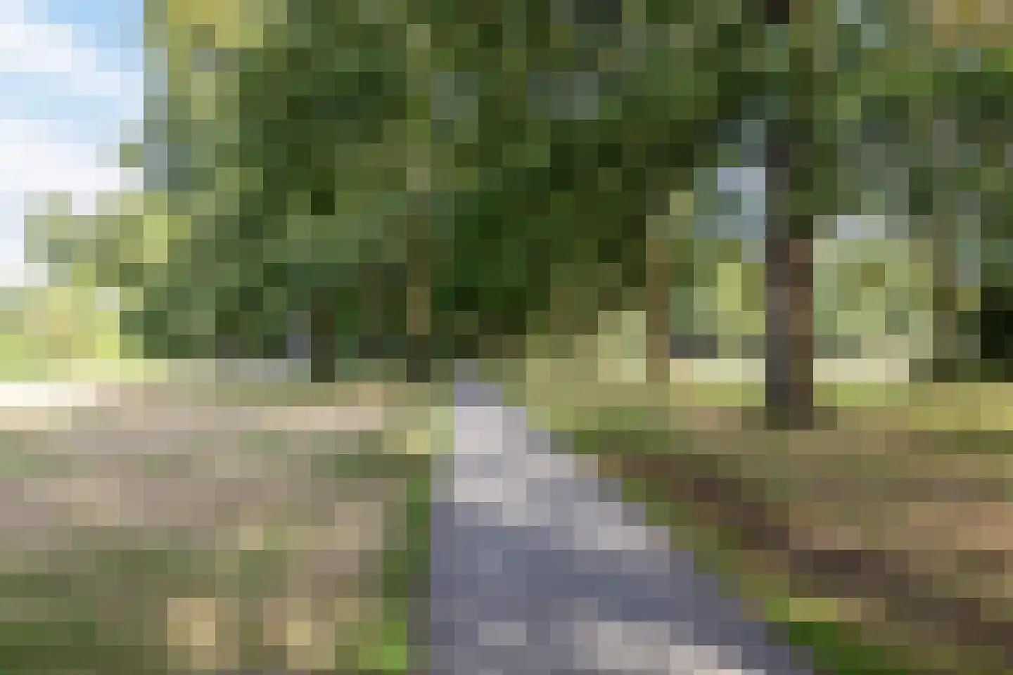 Sonate 19 Oss thumbnail 27