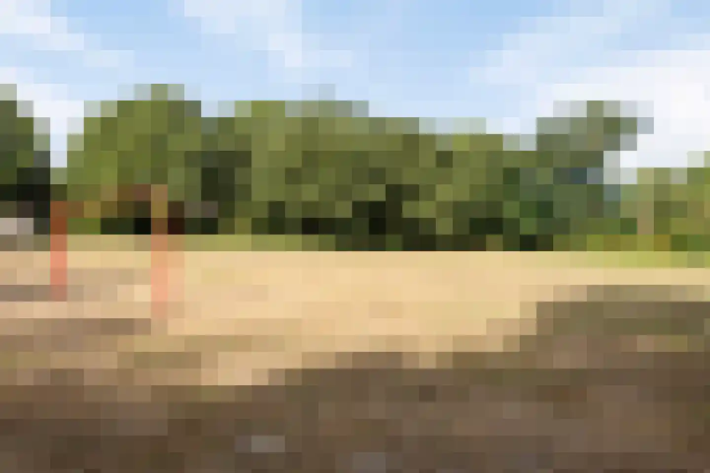 Sonate 19 Oss thumbnail 28