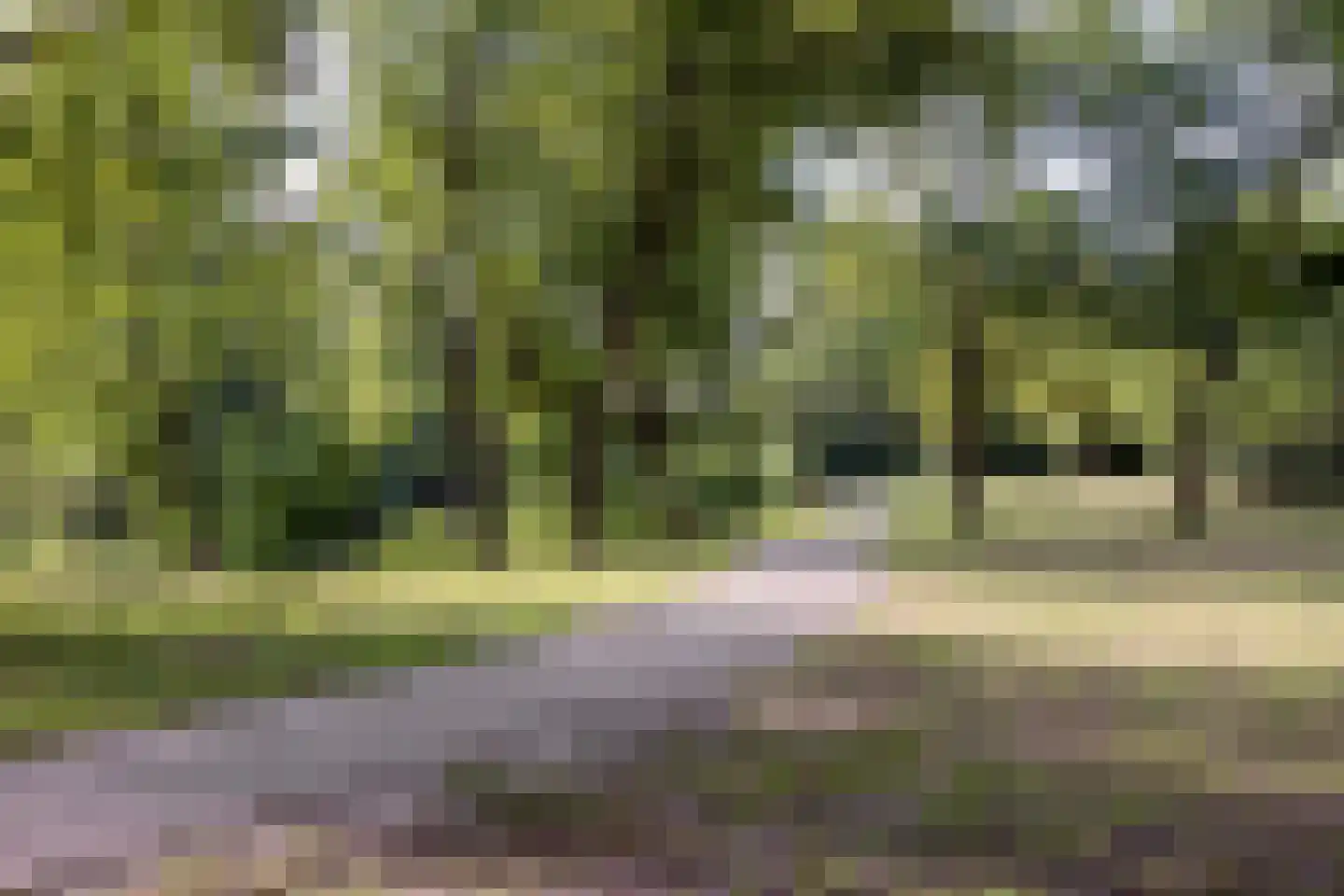 Sonate 19 Oss thumbnail 29