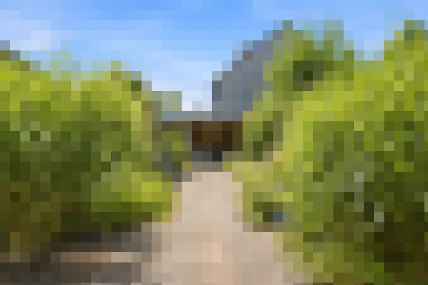 Sonate 19 Zwijndrecht thumbnail 23
