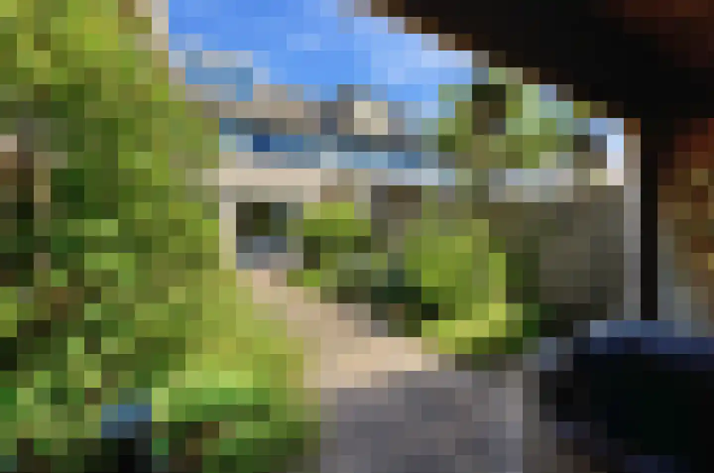 Sonate 19 Zwijndrecht thumbnail 26