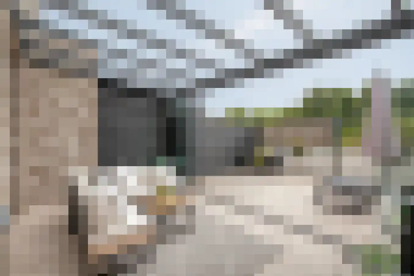 Sonate 2 Oss thumbnail 28
