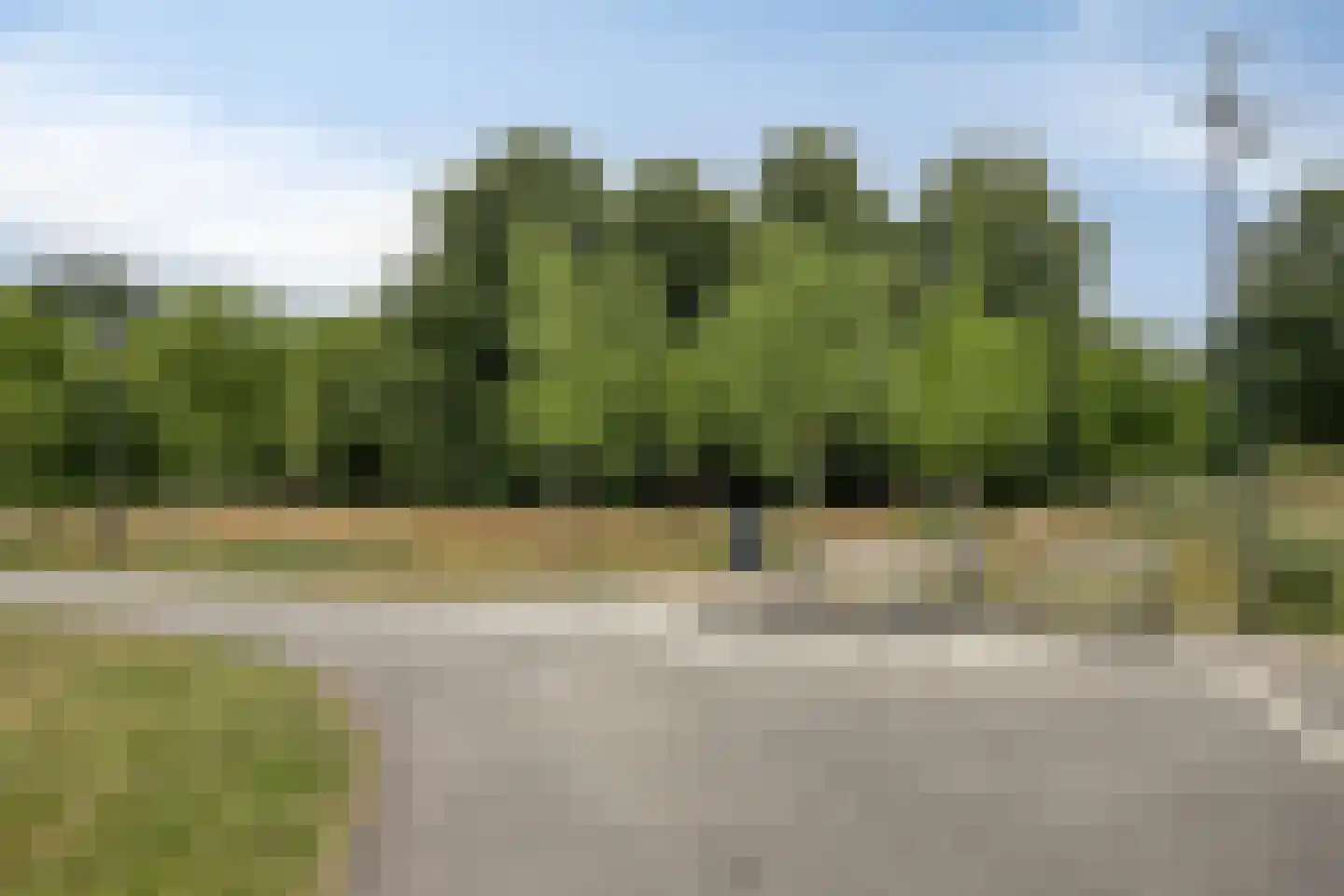 Sonate 2 Oss thumbnail 38