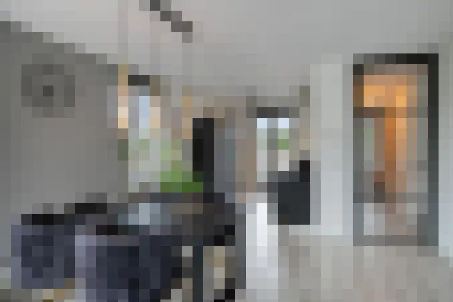 Sonate 2 Oss thumbnail 8