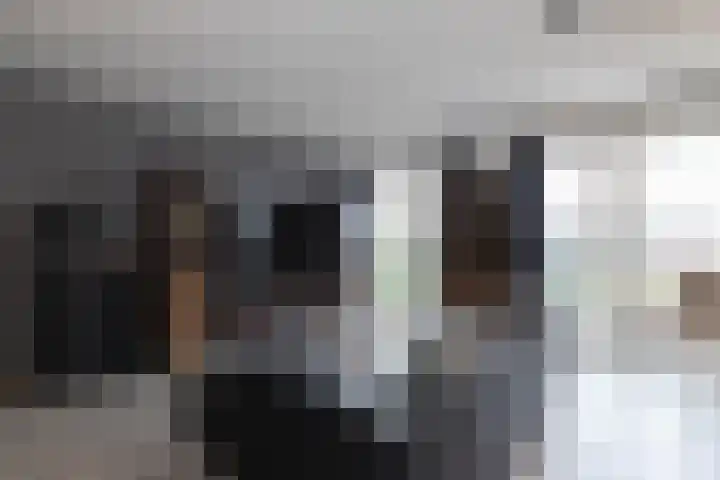 Sonate 25 Sliedrecht thumbnail 10