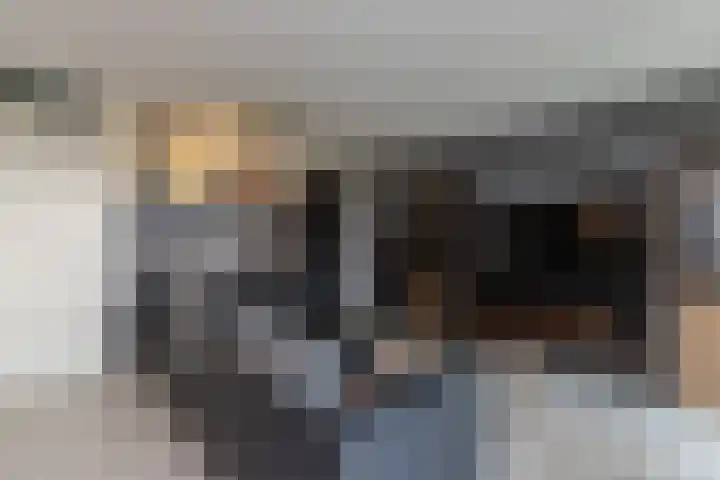 Sonate 25 Sliedrecht thumbnail 12