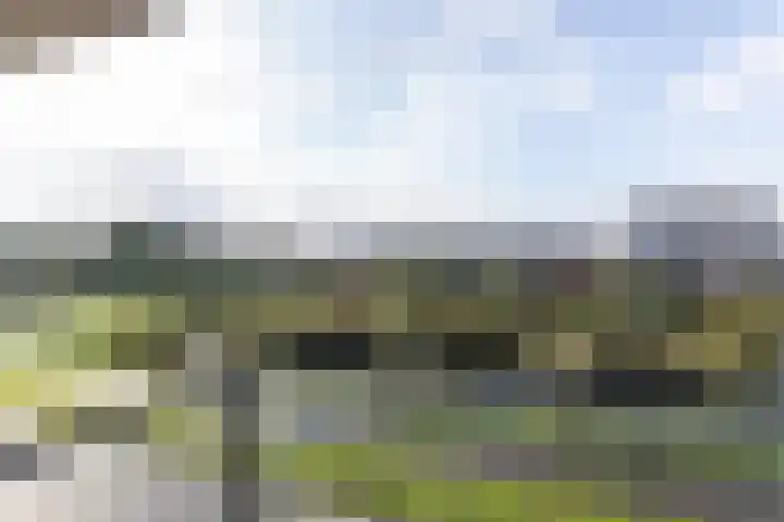 Sonate 25 Sliedrecht thumbnail 18