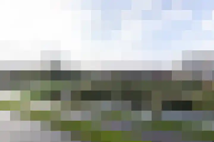 Sonate 25 Sliedrecht thumbnail 19
