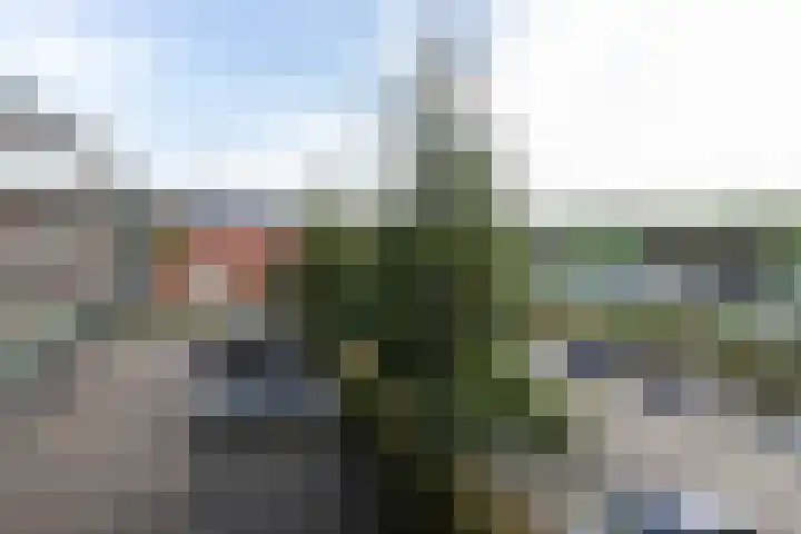 Sonate 25 Sliedrecht thumbnail 20
