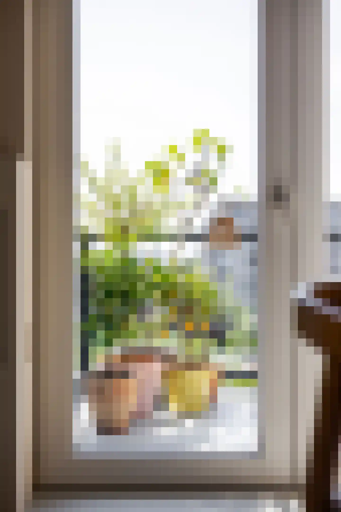 Sonate 47 Sliedrecht thumbnail 8