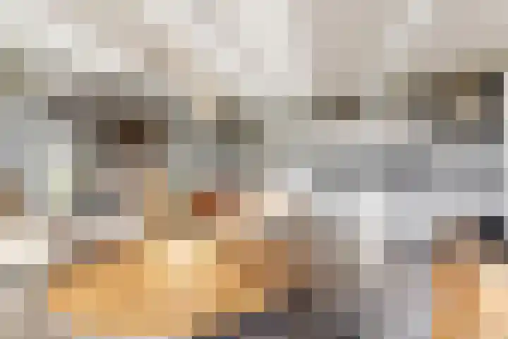 Sonate 61 Sliedrecht thumbnail 11