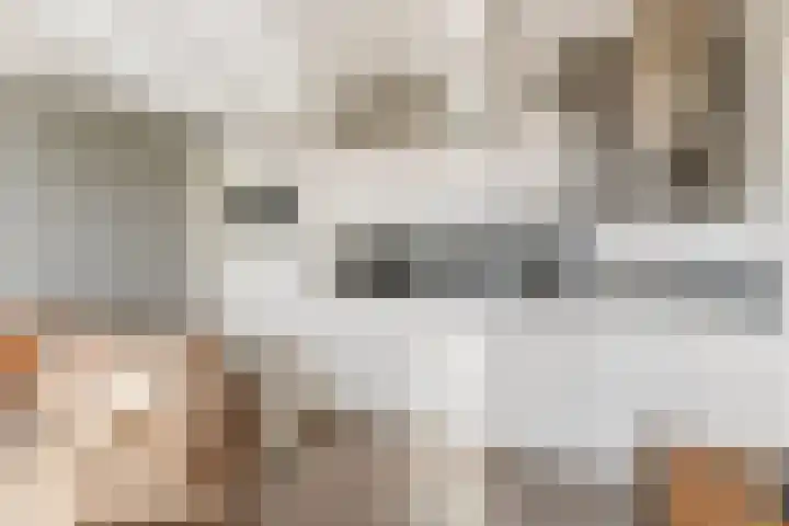 Sonate 61 Sliedrecht thumbnail 13