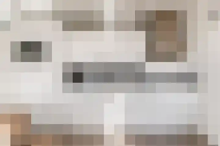 Sonate 61 Sliedrecht thumbnail 14