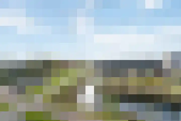 Sonate 61 Sliedrecht thumbnail 19