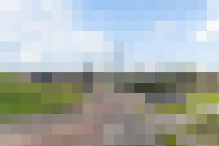 Sonate 61 Sliedrecht thumbnail 21