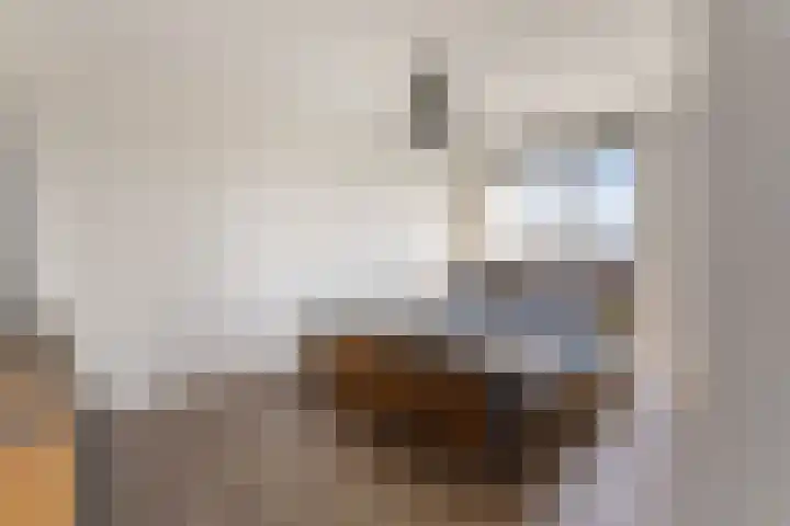 Sonate 61 Sliedrecht thumbnail 22