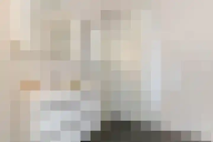 Sonate 61 Sliedrecht thumbnail 27