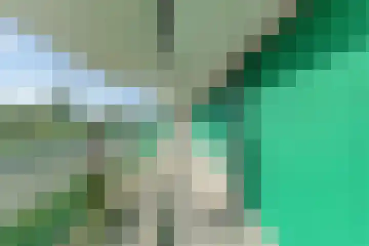 Sonate 61 Sliedrecht thumbnail 33
