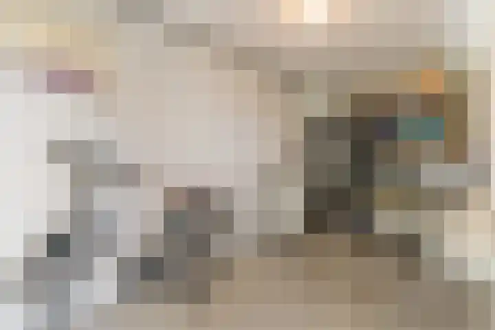 Sonate 61 Sliedrecht thumbnail 34