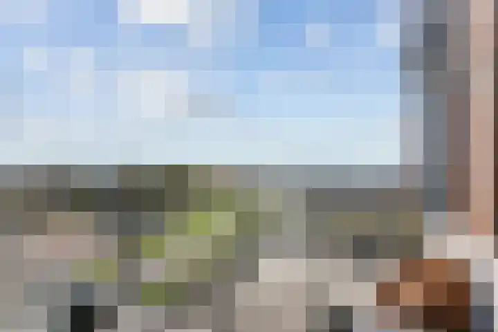 Sonate 61 Sliedrecht thumbnail 4