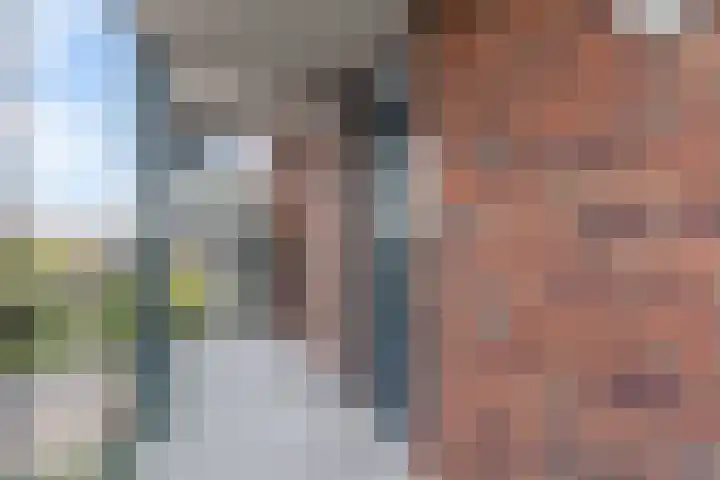 Sonate 61 Sliedrecht thumbnail 5