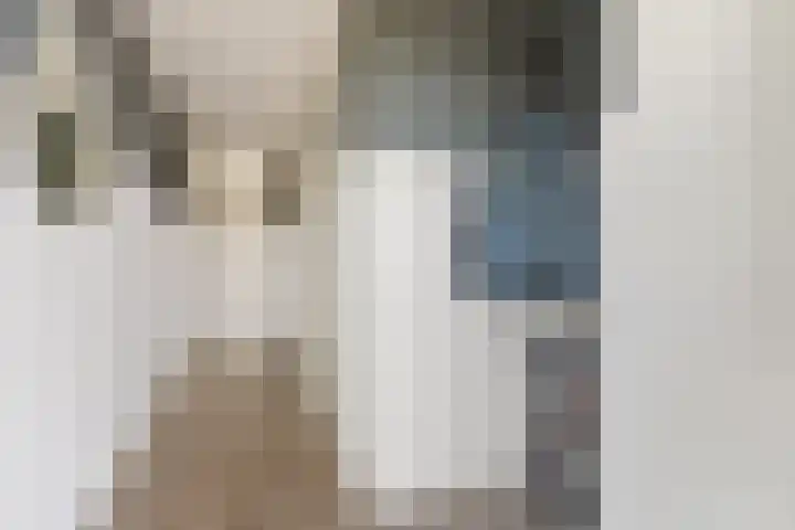 Sonate 61 Sliedrecht thumbnail 6