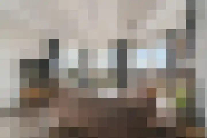Sonate 61 Sliedrecht thumbnail 7
