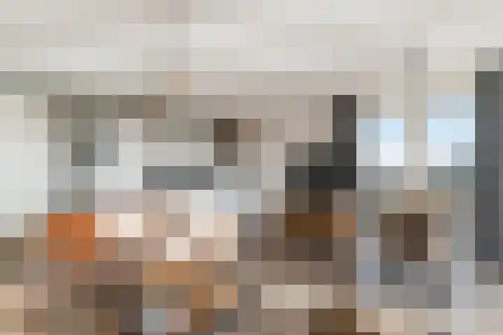 Sonate 61 Sliedrecht thumbnail 8