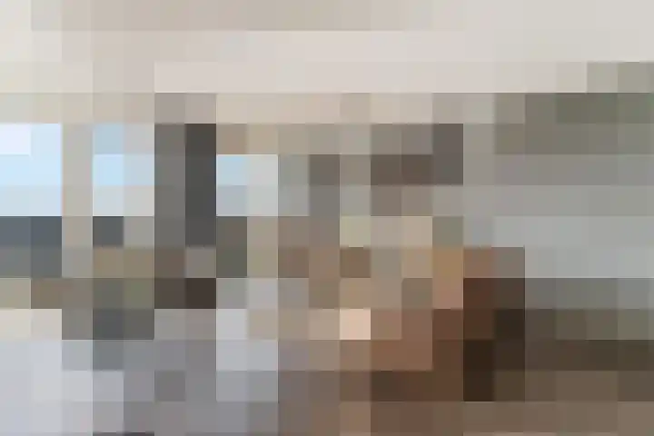 Sonate 61 Sliedrecht thumbnail 9