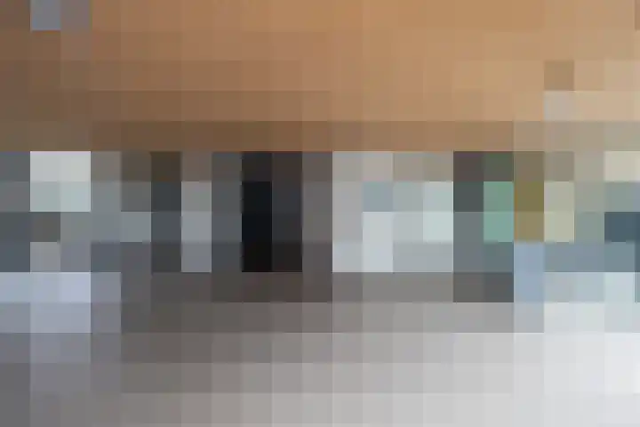 Sonate 93 Sliedrecht thumbnail 6