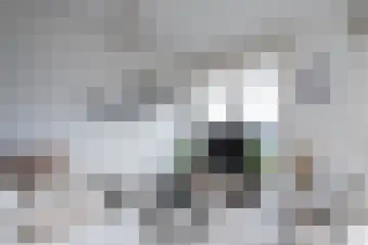 Sonate 93 Sliedrecht thumbnail 9