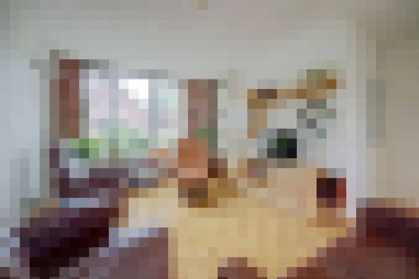 Sonatelaan 19 Nieuwegein thumbnail 12
