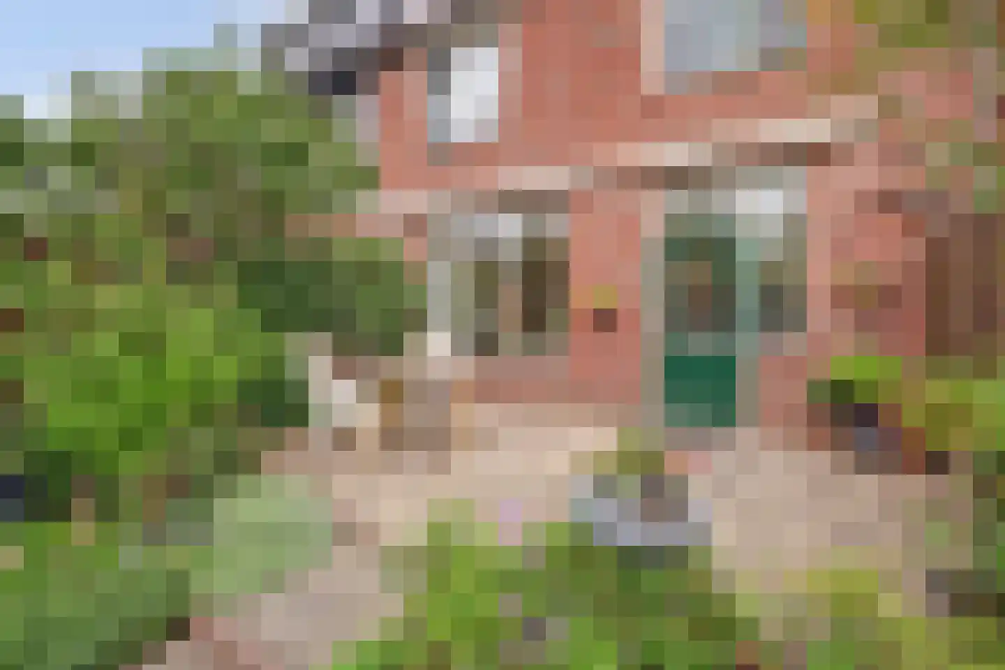 Sonatelaan 19 Nieuwegein thumbnail 37