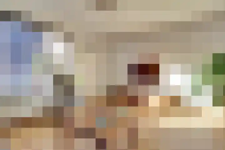 Sonatelaan 40 Nieuwegein thumbnail 4