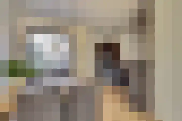 Sonatelaan 40 Nieuwegein thumbnail 8