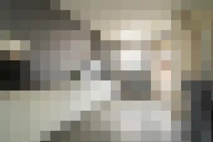 Sonatestraat 11 Enschede thumbnail 10