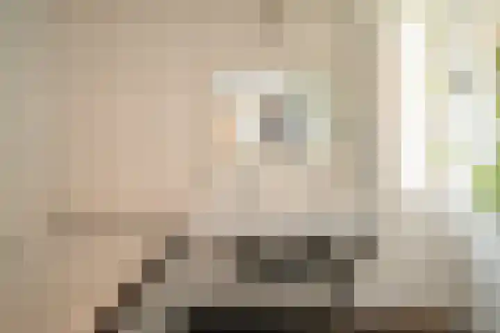 Sonatestraat 11 Enschede thumbnail 18
