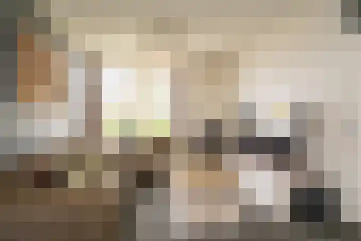 Sonatestraat 11 Enschede thumbnail 8