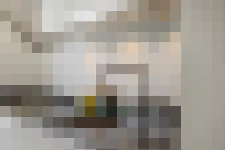 Sonatestraat 15 Rosmalen thumbnail 12