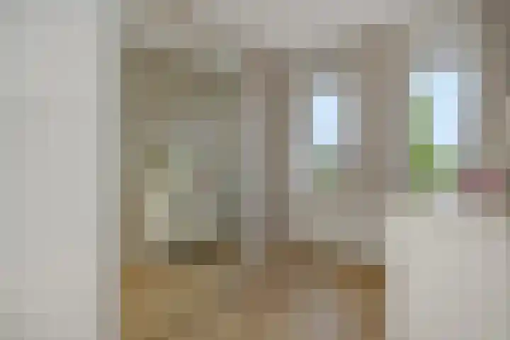 Sonatestraat 15 Rosmalen thumbnail 18