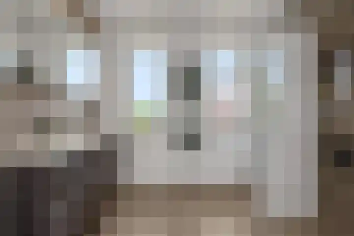 Sonatestraat 15 Rosmalen thumbnail 20