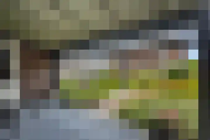 Sonatestraat 15 Rosmalen thumbnail 26