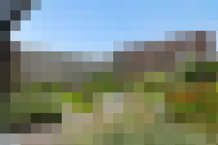 Sonatestraat 15 Rosmalen thumbnail 27