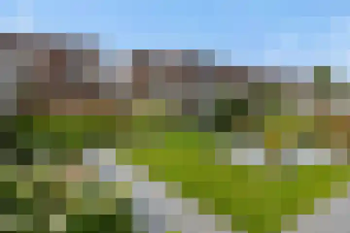 Sonatestraat 15 Rosmalen thumbnail 29