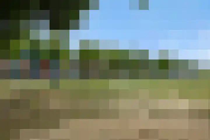 Sonatestraat 15 Rosmalen thumbnail 31