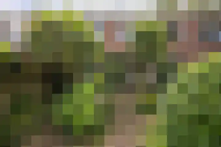 Sonatestraat 16 Enschede thumbnail 37