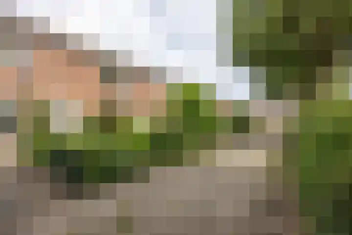 Sonatestraat 16 Enschede thumbnail 4