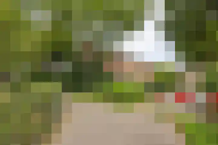 Sonatestraat 16 Enschede thumbnail 6