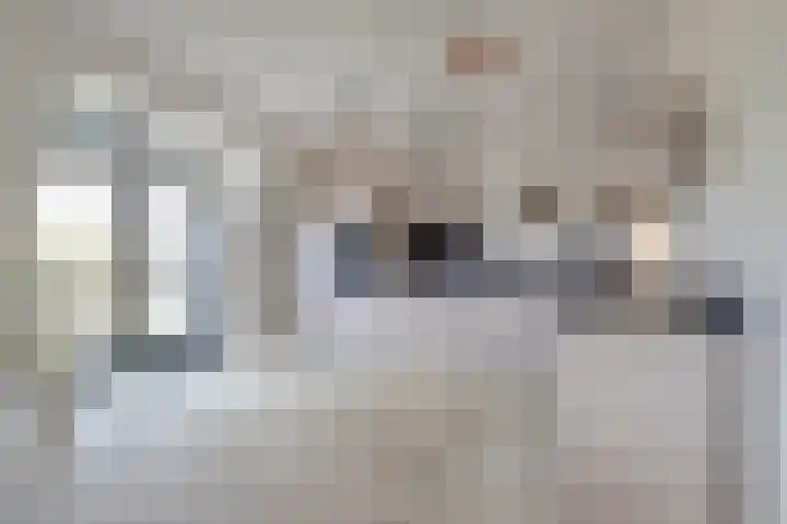 Sonatestraat 20 Arnhem thumbnail 20